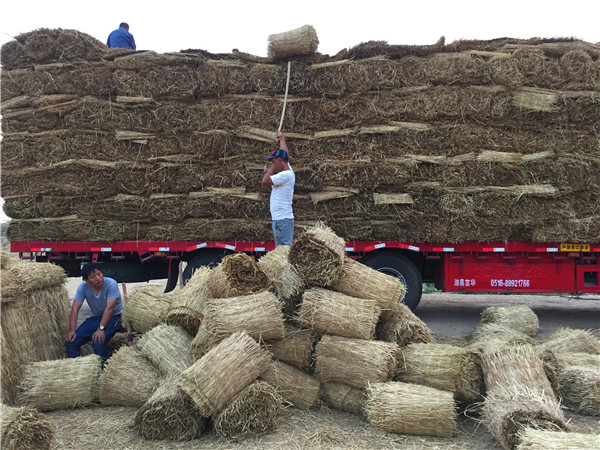 草制品一样平常都被运用在哪些地方？？？？？？我们一起来看看