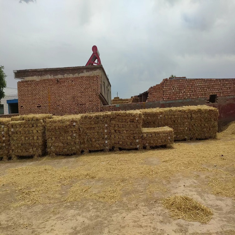 使用条形草支垫的效果有哪些？？？？？？