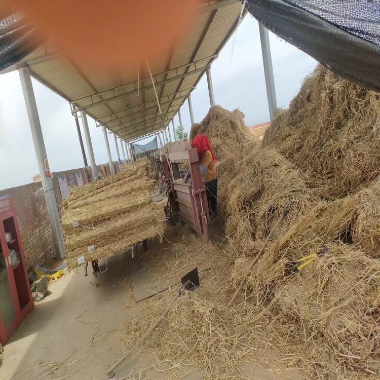 草制品在环保方面有哪些优势