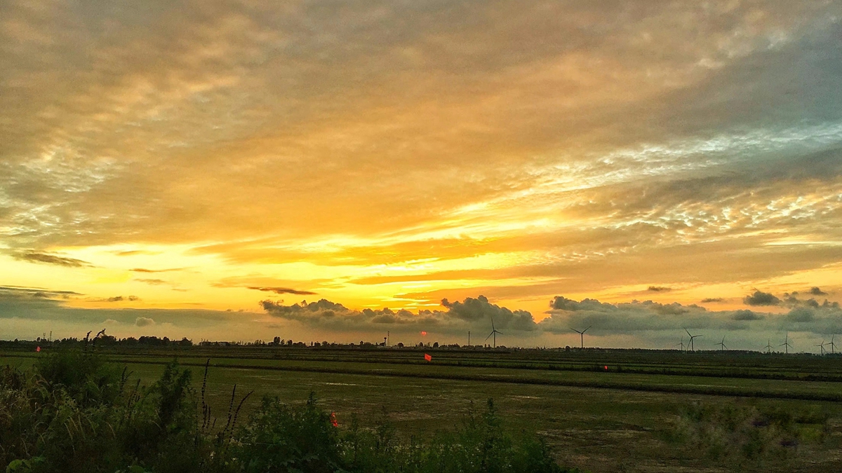 金狮贵宾会·宾至如归尊贵显赫(中国)官方网站