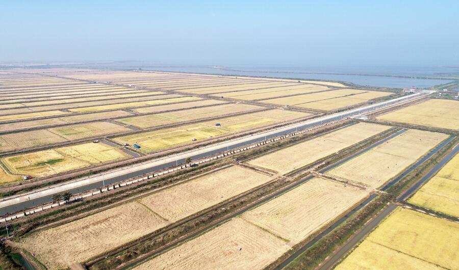 金狮贵宾会·宾至如归尊贵显赫(中国)官方网站