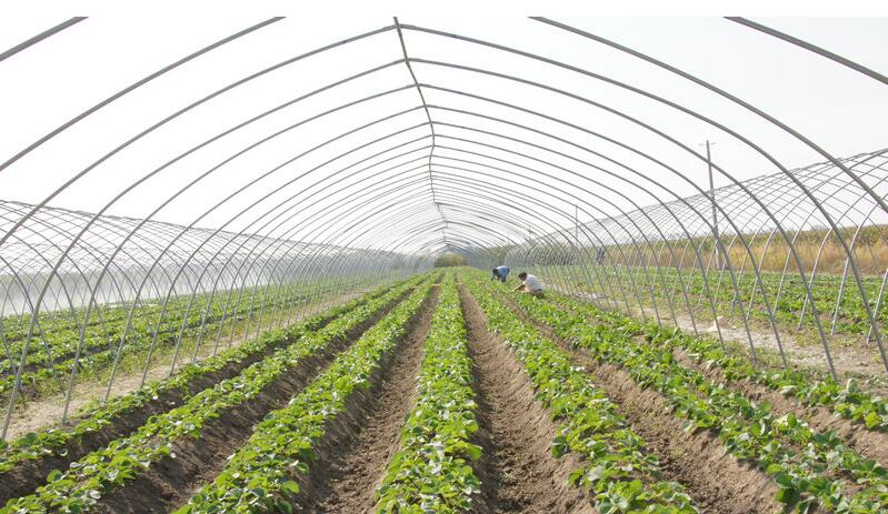 金狮贵宾会·宾至如归尊贵显赫(中国)官方网站