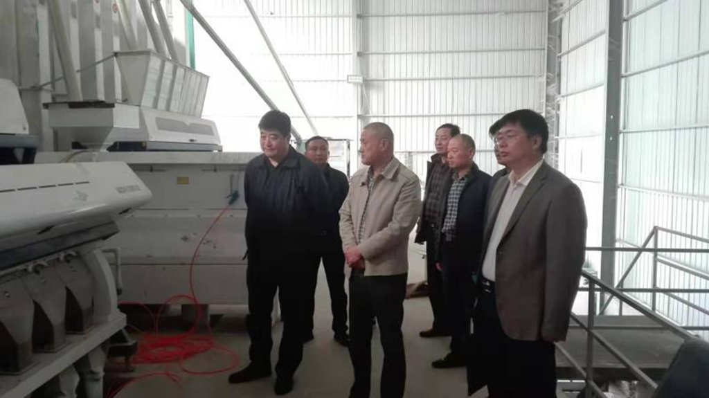 金狮贵宾会·宾至如归尊贵显赫(中国)官方网站