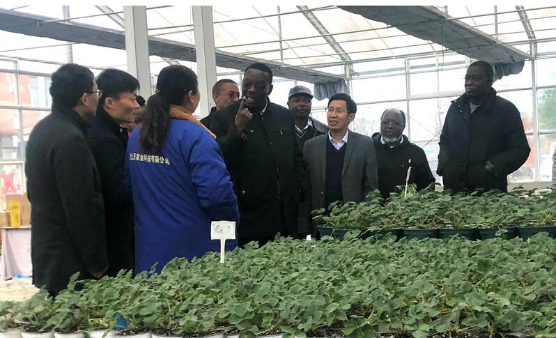 金狮贵宾会·宾至如归尊贵显赫(中国)官方网站