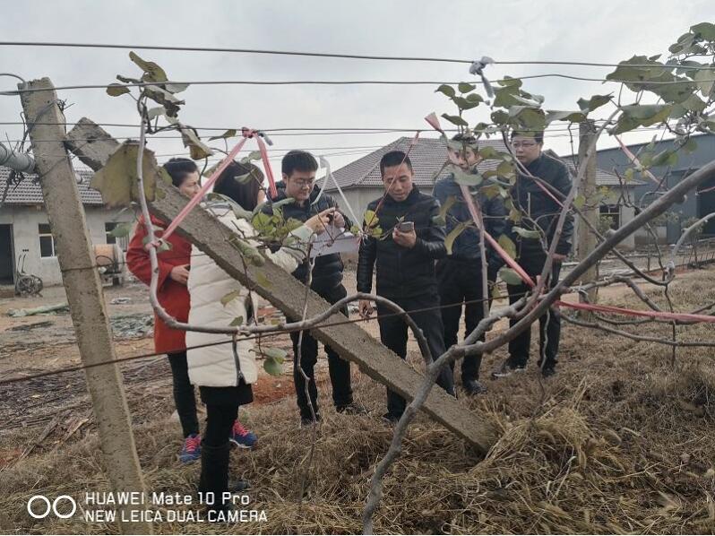 金狮贵宾会·宾至如归尊贵显赫(中国)官方网站