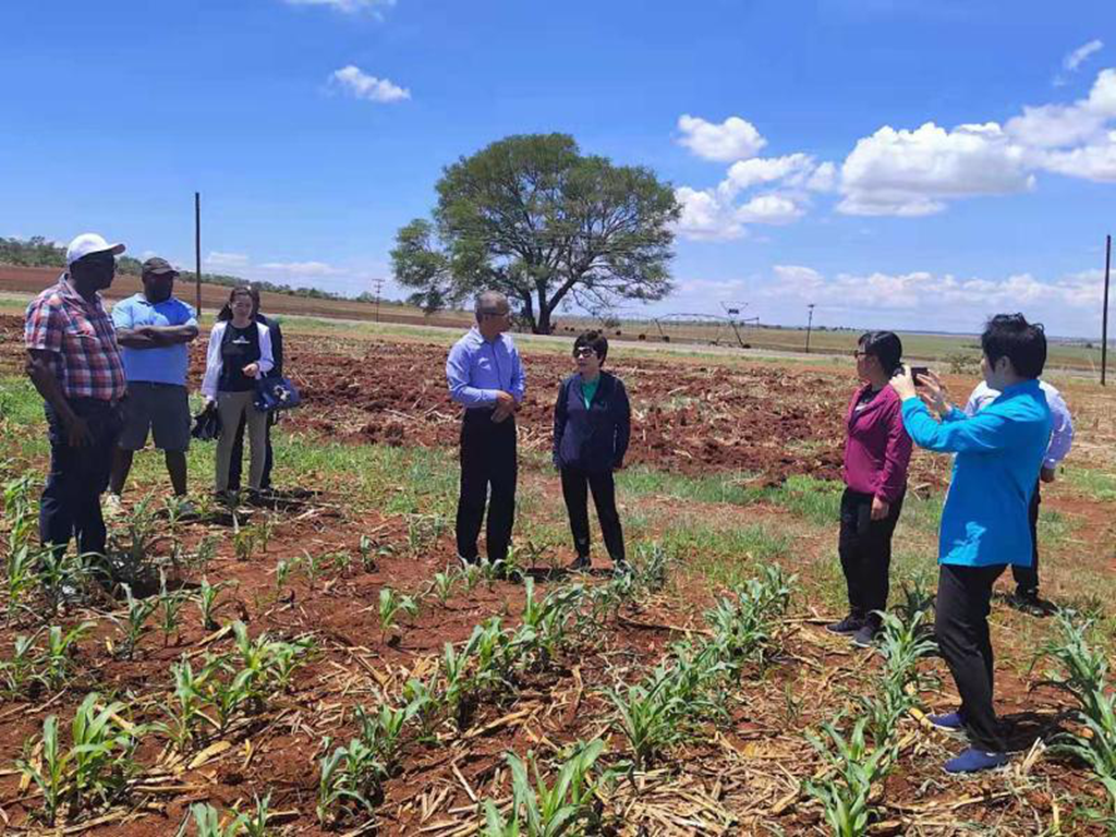 金狮贵宾会·宾至如归尊贵显赫(中国)官方网站