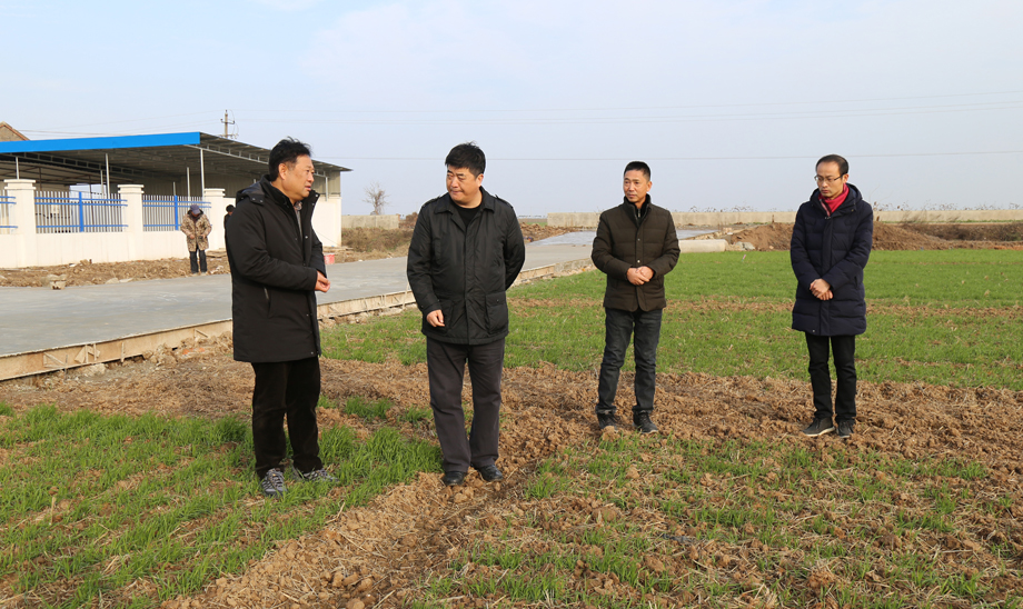 金狮贵宾会·宾至如归尊贵显赫(中国)官方网站