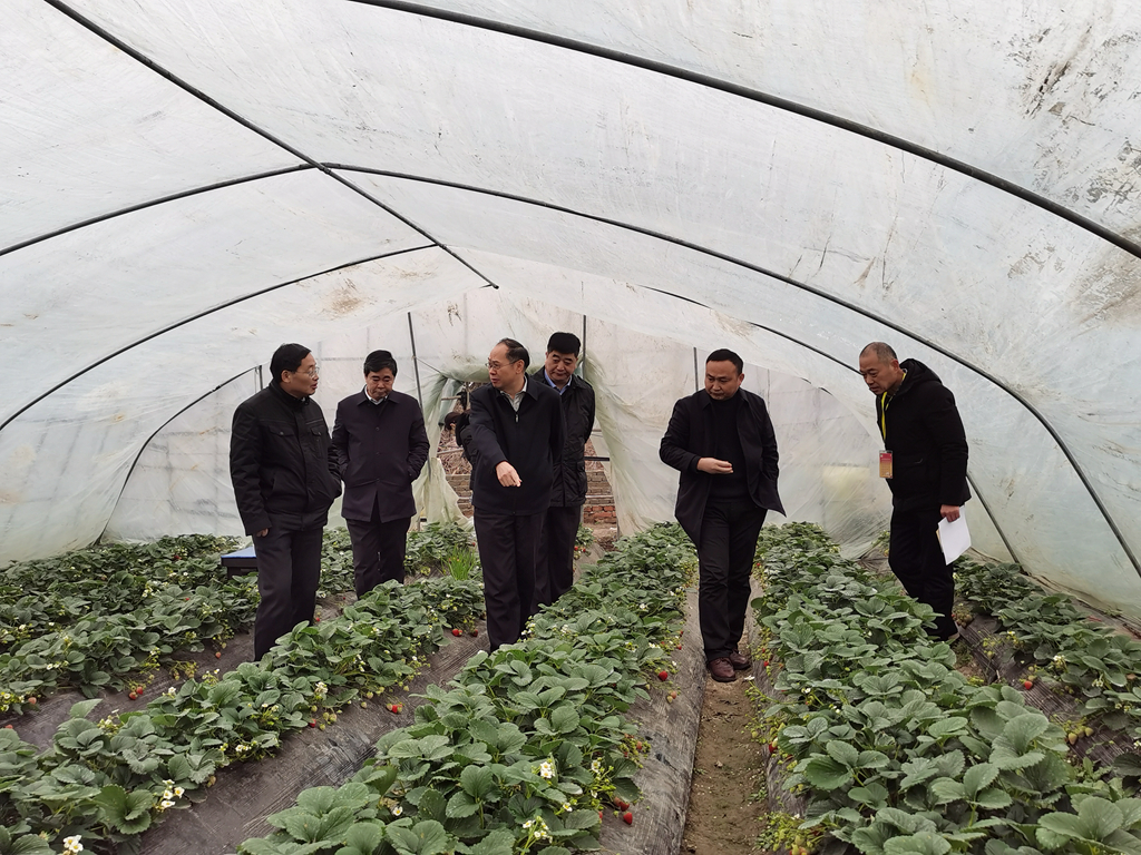 金狮贵宾会·宾至如归尊贵显赫(中国)官方网站