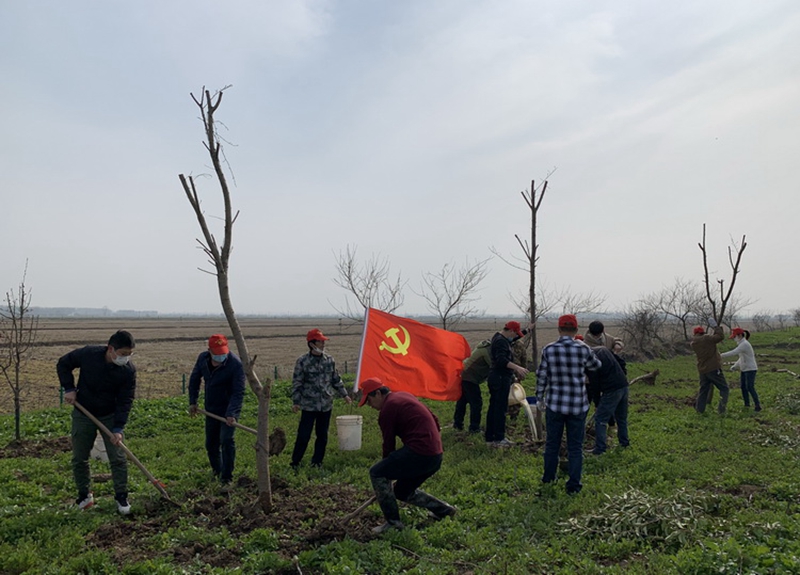 金狮贵宾会·宾至如归尊贵显赫(中国)官方网站