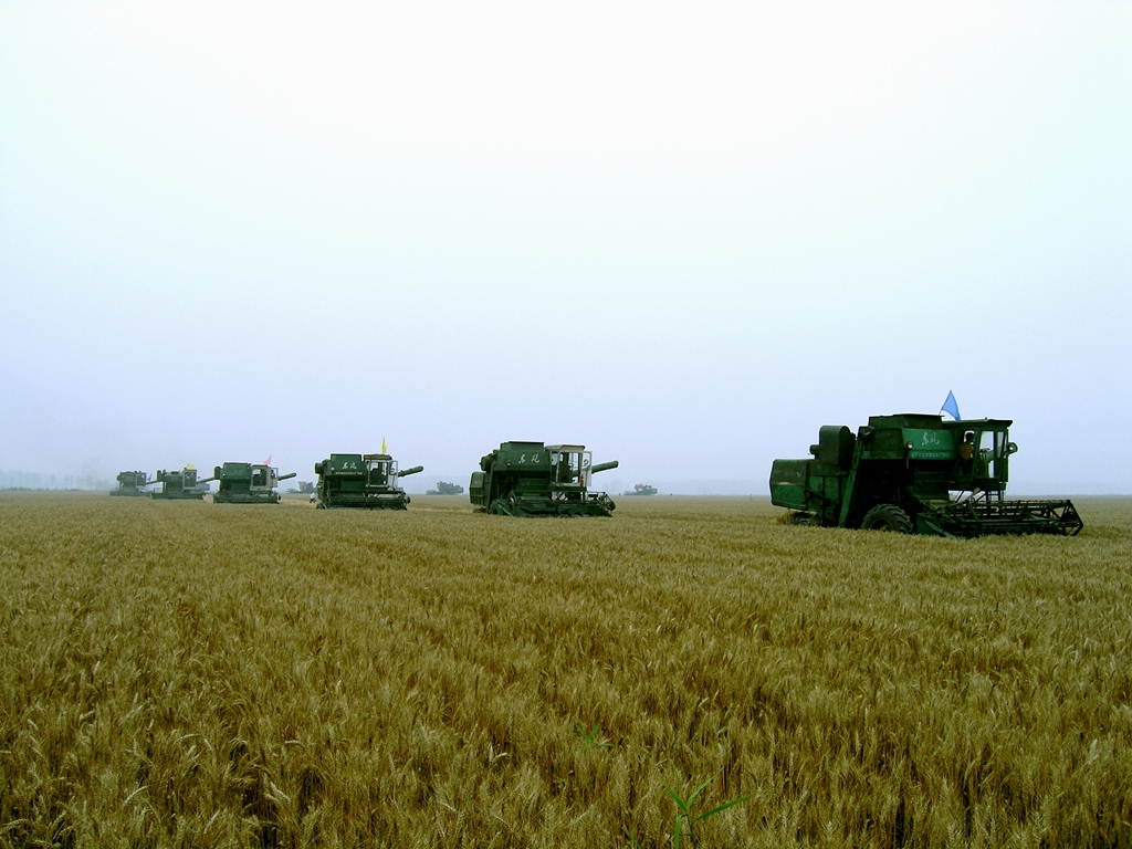 金狮贵宾会·宾至如归尊贵显赫(中国)官方网站