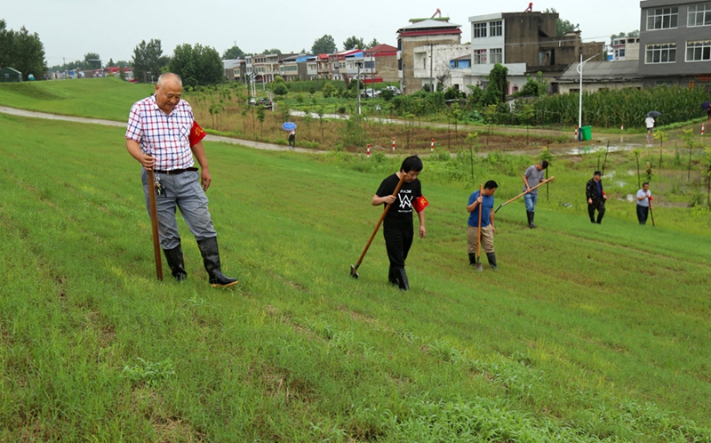 金狮贵宾会·宾至如归尊贵显赫(中国)官方网站