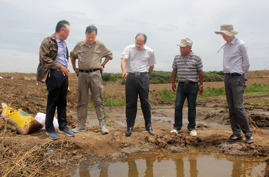 金狮贵宾会·宾至如归尊贵显赫(中国)官方网站