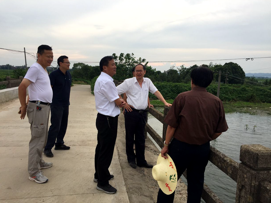 金狮贵宾会·宾至如归尊贵显赫(中国)官方网站