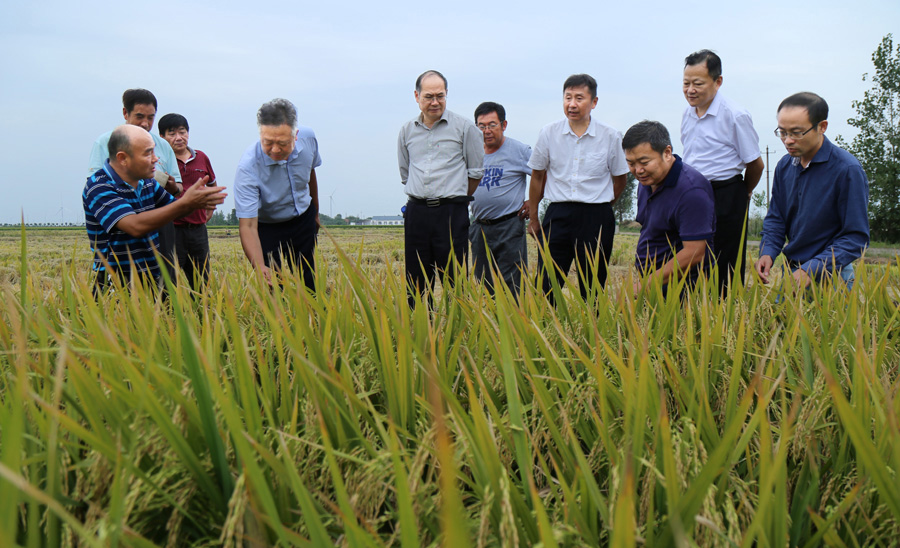 金狮贵宾会·宾至如归尊贵显赫(中国)官方网站