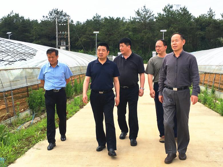 金狮贵宾会·宾至如归尊贵显赫(中国)官方网站