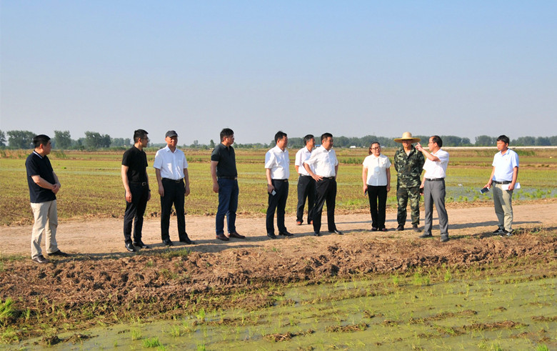 金狮贵宾会·宾至如归尊贵显赫(中国)官方网站