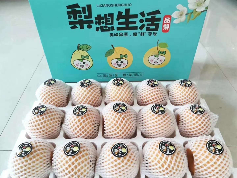 金狮贵宾会·宾至如归尊贵显赫(中国)官方网站