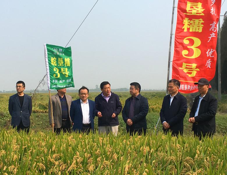 金狮贵宾会·宾至如归尊贵显赫(中国)官方网站