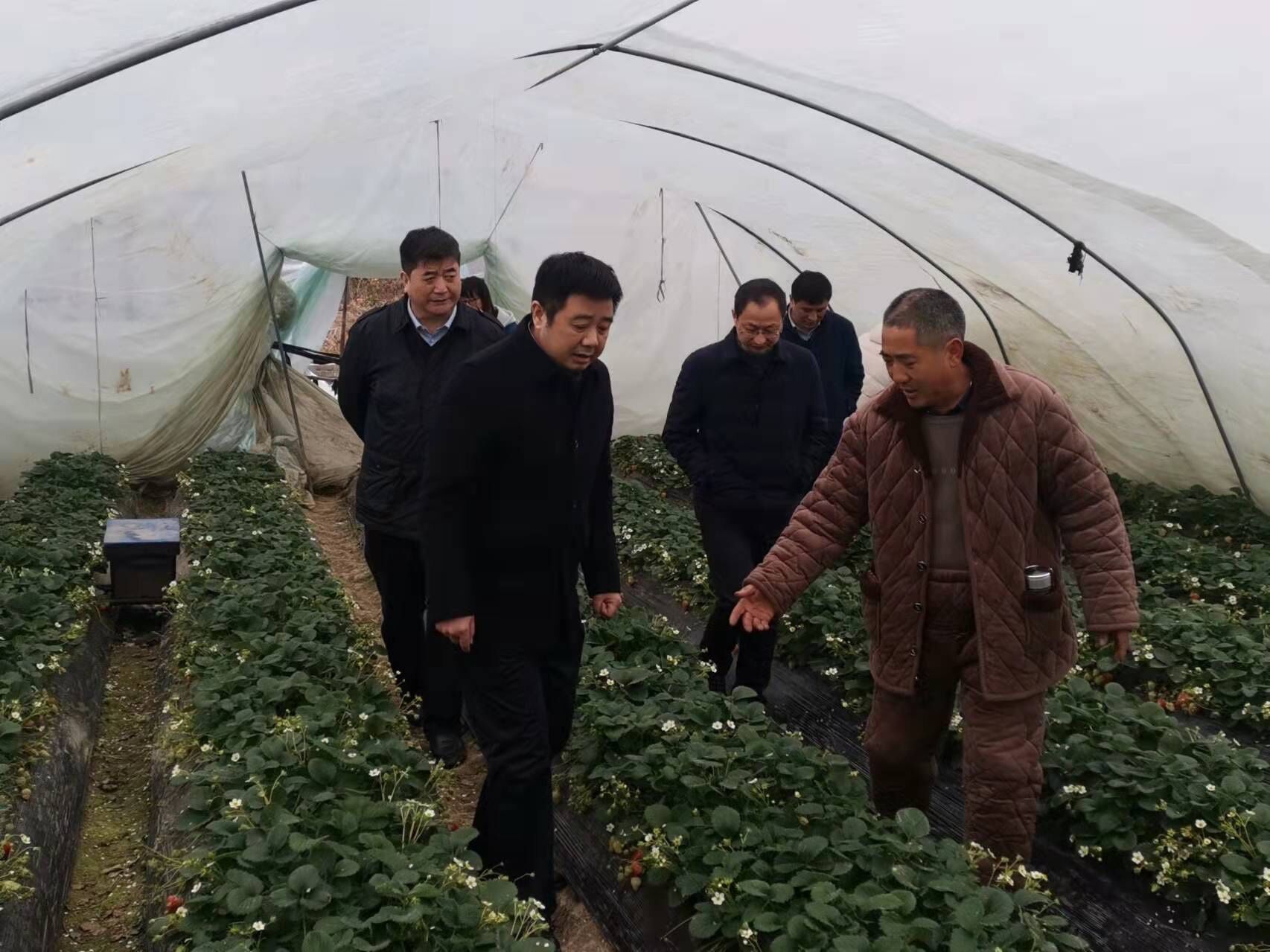 金狮贵宾会·宾至如归尊贵显赫(中国)官方网站