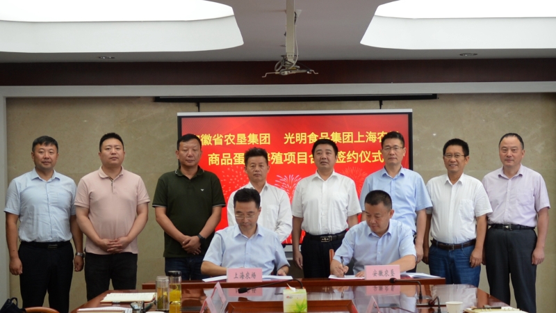 金狮贵宾会·宾至如归尊贵显赫(中国)官方网站