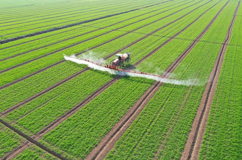 金狮贵宾会·宾至如归尊贵显赫(中国)官方网站