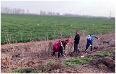金狮贵宾会·宾至如归尊贵显赫(中国)官方网站