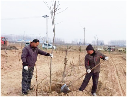金狮贵宾会·宾至如归尊贵显赫(中国)官方网站