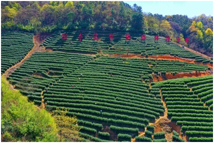 金狮贵宾会·宾至如归尊贵显赫(中国)官方网站