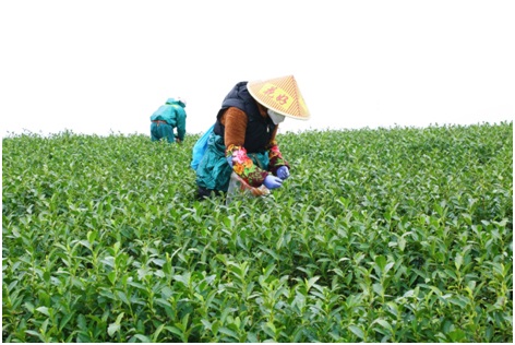 金狮贵宾会·宾至如归尊贵显赫(中国)官方网站