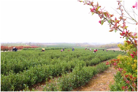 金狮贵宾会·宾至如归尊贵显赫(中国)官方网站