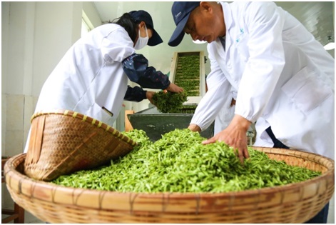 金狮贵宾会·宾至如归尊贵显赫(中国)官方网站