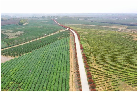 金狮贵宾会·宾至如归尊贵显赫(中国)官方网站