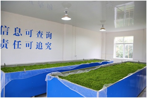 金狮贵宾会·宾至如归尊贵显赫(中国)官方网站