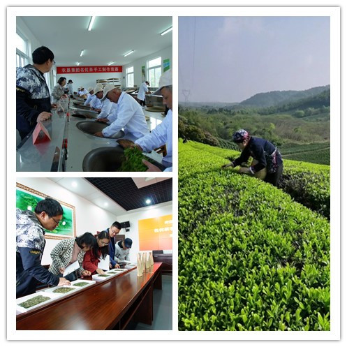 金狮贵宾会·宾至如归尊贵显赫(中国)官方网站