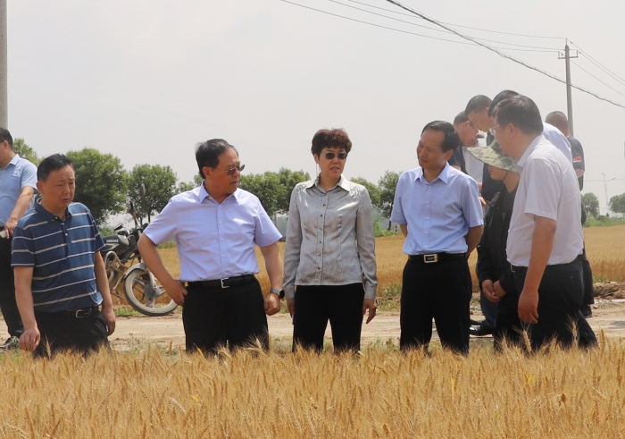 金狮贵宾会·宾至如归尊贵显赫(中国)官方网站