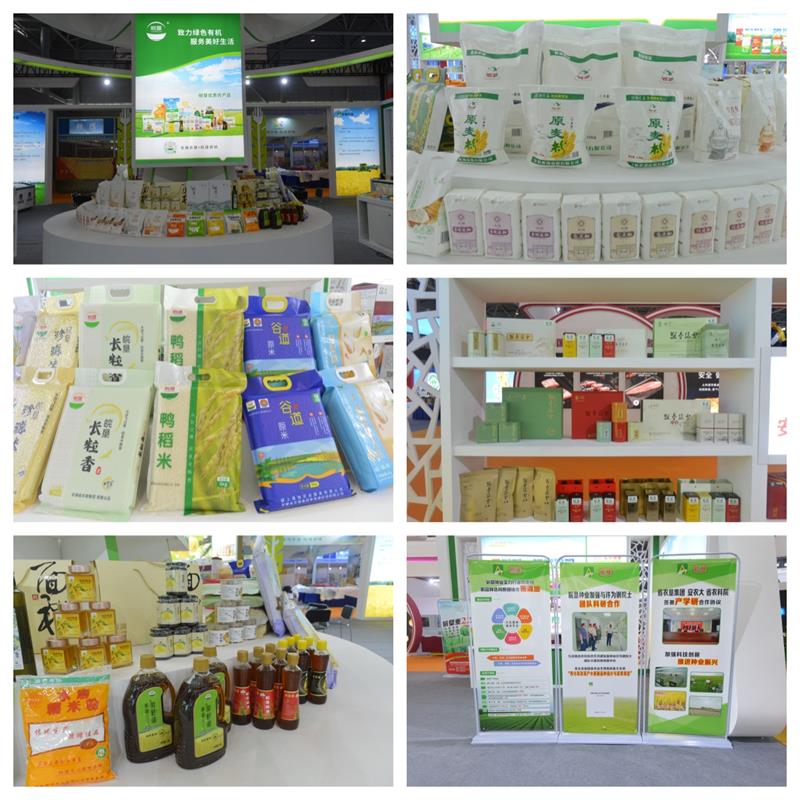 金狮贵宾会·宾至如归尊贵显赫(中国)官方网站