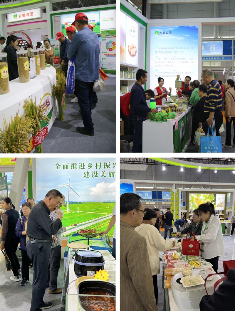 金狮贵宾会·宾至如归尊贵显赫(中国)官方网站