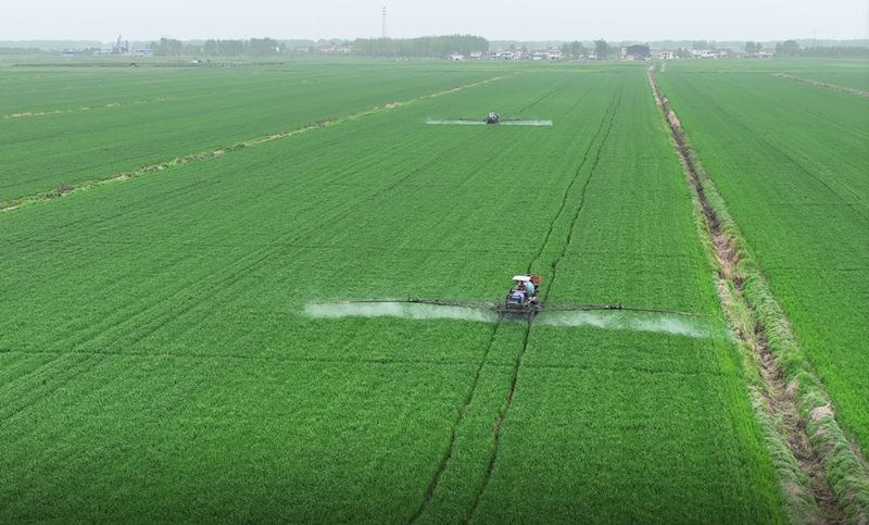 金狮贵宾会·宾至如归尊贵显赫(中国)官方网站