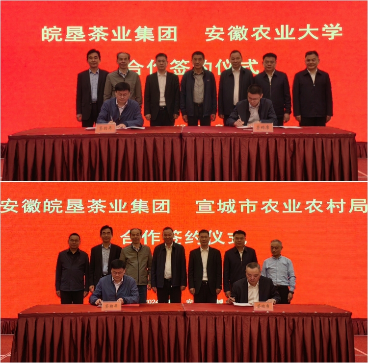 金狮贵宾会·宾至如归尊贵显赫(中国)官方网站