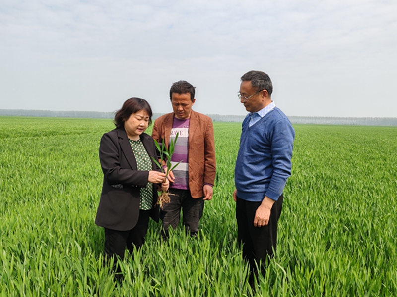 金狮贵宾会·宾至如归尊贵显赫(中国)官方网站