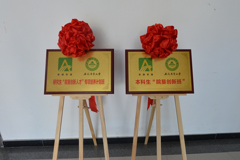 金狮贵宾会·宾至如归尊贵显赫(中国)官方网站