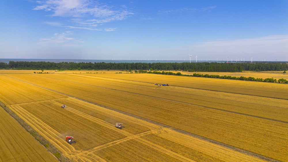 金狮贵宾会·宾至如归尊贵显赫(中国)官方网站