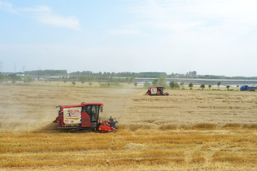 金狮贵宾会·宾至如归尊贵显赫(中国)官方网站