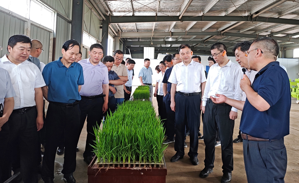 金狮贵宾会·宾至如归尊贵显赫(中国)官方网站