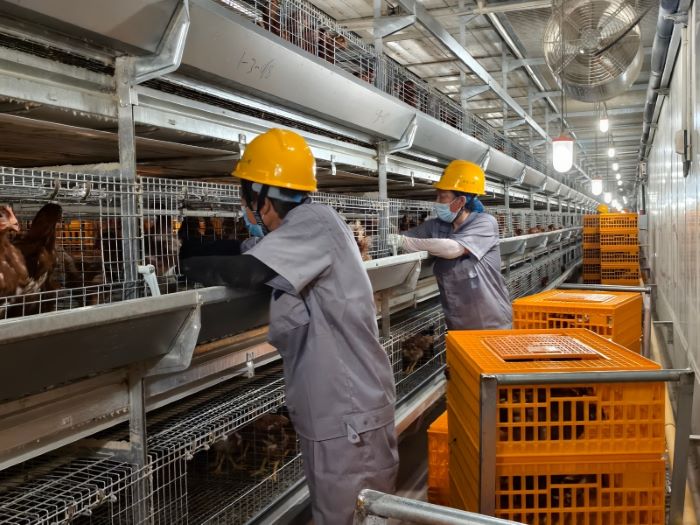 金狮贵宾会·宾至如归尊贵显赫(中国)官方网站