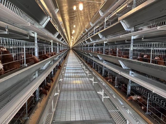 金狮贵宾会·宾至如归尊贵显赫(中国)官方网站