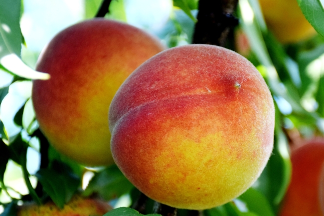 金狮贵宾会·宾至如归尊贵显赫(中国)官方网站