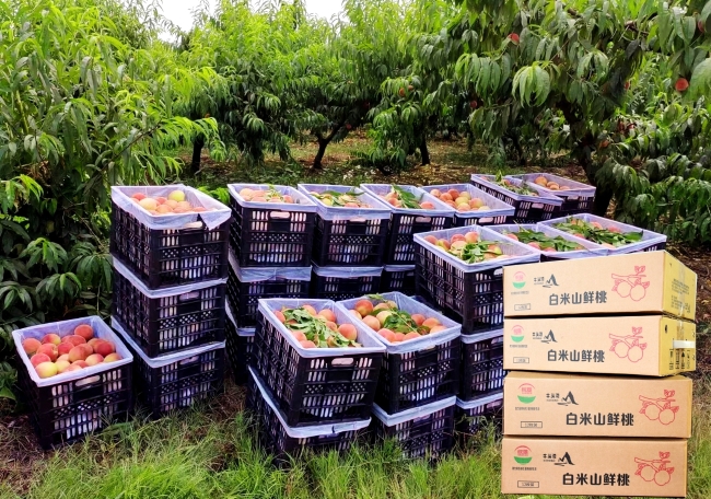 金狮贵宾会·宾至如归尊贵显赫(中国)官方网站