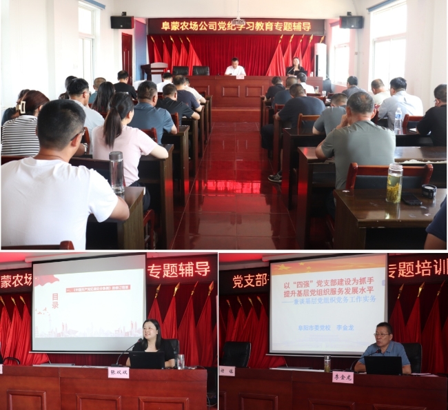 金狮贵宾会·宾至如归尊贵显赫(中国)官方网站