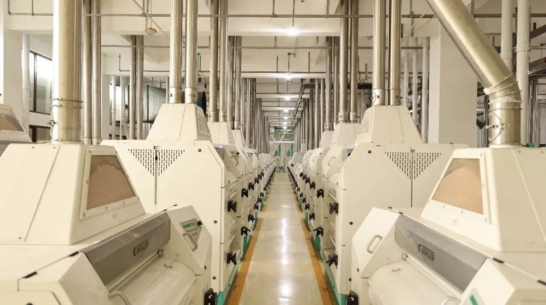 金狮贵宾会·宾至如归尊贵显赫(中国)官方网站